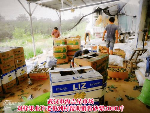 線上線下齊發力，石橋驛鎮為滯銷農產品打開新銷路